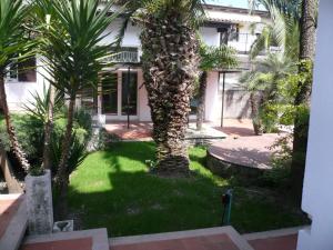 Vonkajšia záhrada v ubytovaní Oasi Holiday Home