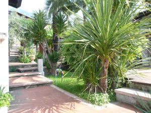 Vonkajšia záhrada v ubytovaní Oasi Holiday Home