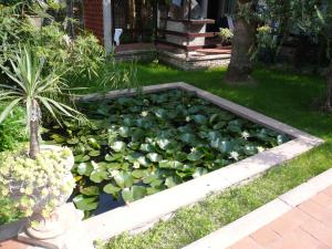 Vonkajšia záhrada v ubytovaní Oasi Holiday Home