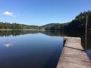 a dock on a lake with mountains in the background at Horský Hotel Kolowrat in Přimda