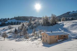 una casa en la nieve en una colina nevada en Lohansler Hütte, en Oberstaufen
