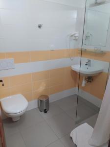 a bathroom with a toilet and a sink at Hotel KRYŠTOF in Prostřední Bečva