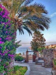 un jardín con flores, una palmera y el océano en Oinoni's Home - AIAKOS, en Souvala