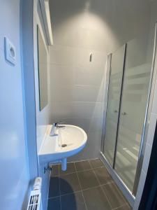 a bathroom with a sink and a shower at Kasteel Boterlaerhof Antwerpen in Antwerp
