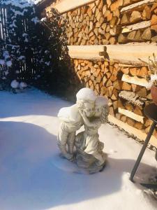 Ferienwohnung Steiner durante l'inverno