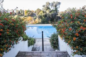 Bazén v ubytování Hotel Tugasa El Almendral nebo v jeho okolí