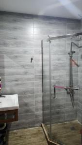 una ducha con una puerta de cristal junto a un lavabo en Cozy Home Bakuriani, en Bakuriani