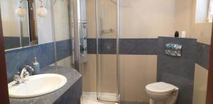 W łazience znajduje się umywalka, prysznic i toaleta. w obiekcie Zielona zagroda w mieście Przyborów