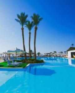 uma grande piscina com palmeiras ao fundo em Queen Sharm Italian Club em Sharm El Sheikk