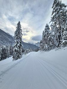 una cubierta de nieve camino con árboles nevados. en Chalet Camporosso, en Camporosso in Valcanale