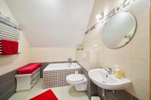 een badkamer met een wastafel, een toilet en een spiegel bij Domki pod Tatrami in Zakopane