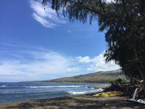 a beach with a view of the ocean and a tree at Les barbots in Saint-Louis