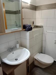 uma casa de banho com um lavatório e um WC em Dachstein Apartments em Obertraun