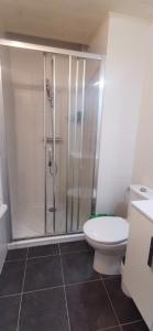 a bathroom with a shower and a toilet at Appartement 3 pièces en duplex in Antibes
