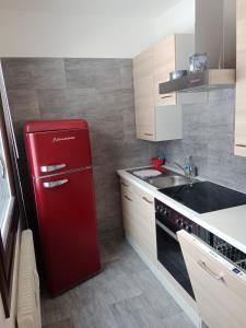 Kuchyň nebo kuchyňský kout v ubytování Dachstein Apartments