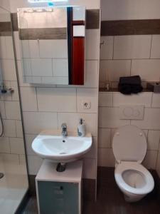 uma pequena casa de banho com WC e lavatório em Dachstein Apartments em Obertraun