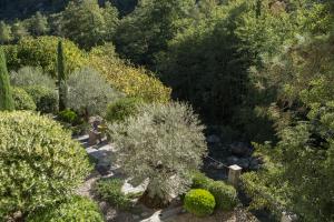 uma vista sobre um jardim com arbustos e árvores em Dominique Colonna em Corte