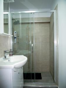 a bathroom with a shower and a sink at Apartament David in Câmpulung Moldovenesc