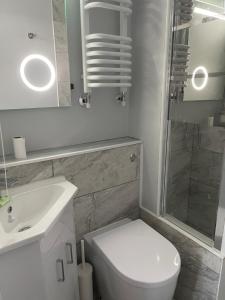 uma casa de banho com um WC, um lavatório e um chuveiro em Eden Garden Luxury Lodges em Llangain