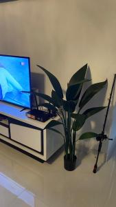 a laptop computer sitting on a table with a potted plant at Munirah Homestay in Dungun