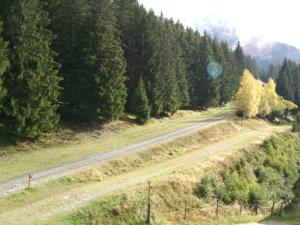 an empty road in the middle of a forest at Studio cosy au pied des pistes avec balcon, 3 couchages - FR-1-557-58 in Les Adrets
