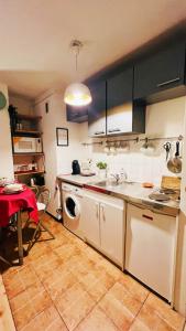una cucina con lavandino e lavatrice di Super appartment at Paris a Parigi