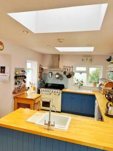 a large kitchen with blue cabinets and a sink at Odun Terrace in Appledore
