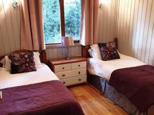 約克的住宿－Willow Lodge 13 Hot Tub，客房设有两张床和窗户。