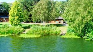 un río con árboles y una casa en el fondo en Willow Lodge 13 Hot Tub en York