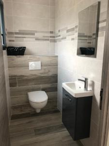 bagno con servizi igienici e lavandino di Suite cosy a Chindrieux