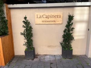 two potted trees on the side of a building at Villa Alba Boutique Hotel in Pescara