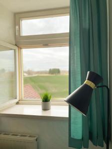 a lamp in front of a window with a plant at Hotel am Friedberger See in Friedberg