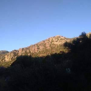 une montagne avec des arbres devant un ciel bleu dans l'établissement Finca La Rana Verde, à Cortes de la Frontera