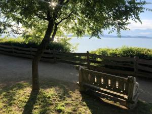 Paesaggio naturale nelle vicinanze dell'appartamento