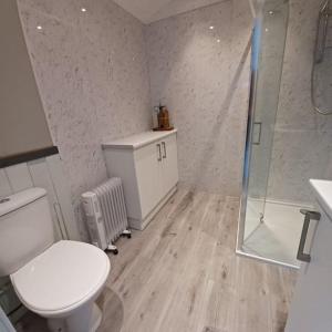 a bathroom with a white toilet and a shower at The Shepherd's Delight in Rushton Spencer