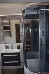 a bathroom with a shower and a sink and a mirror at Agroturystyka nad Nidą in Włoszczowa +48 photos