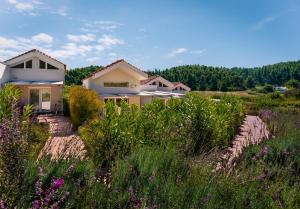 dom na plaży z polem kwiatów w obiekcie Kypsalos Bungalows w mieście Sani Beach