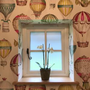 Wisborough Green的住宿－The Studio，墙上装有气球的盆子上装有花的窗户