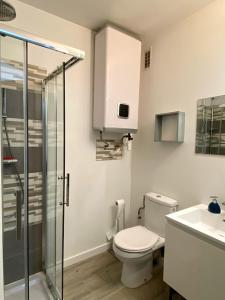 een badkamer met een douche, een toilet en een wastafel bij Studio moderne et lumineux centre ville Aix les Bains in Aix-les-Bains