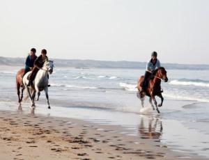 a group of people riding horses on the beach at La Maison du Cavalier, Chateau de lAvenue in Pierrefitte-en-Auge