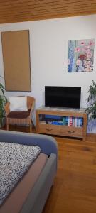 Apartment Zettler في Buxheim: غرفة معيشة مع تلفزيون وأريكة