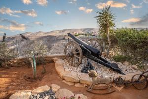 un cannone seduto sopra un muro di pietra di House of Art ad Arad