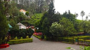 a train is going down a hill with trees at GOLDEN GREEN in Munnar