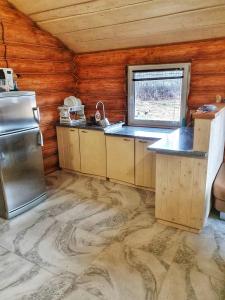 a kitchen with a refrigerator and a sink in a room at Відпочинок у Закарпатті in Kushnytsya