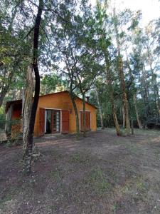 une petite maison au milieu d'une forêt dans l'établissement Mis Soles, à Santa Ana