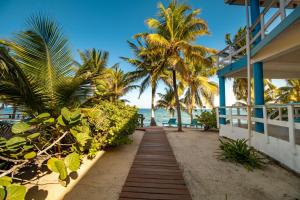 a pathway to the beach with palm trees and a house at Condo #27 @ Beachside Villas in Dangriga