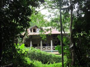 una casa en medio del bosque en Centro Ecológico Montaña Verde, en Rivas