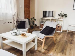 TV a/nebo společenská místnost v ubytování Apartmány Zahražany