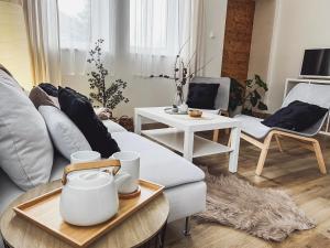 TV a/nebo společenská místnost v ubytování Apartmány Zahražany