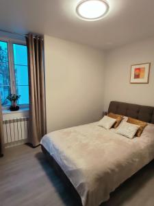 1 dormitorio con 1 cama grande y ventana en Balance appartment - Le Locle en Le Locle